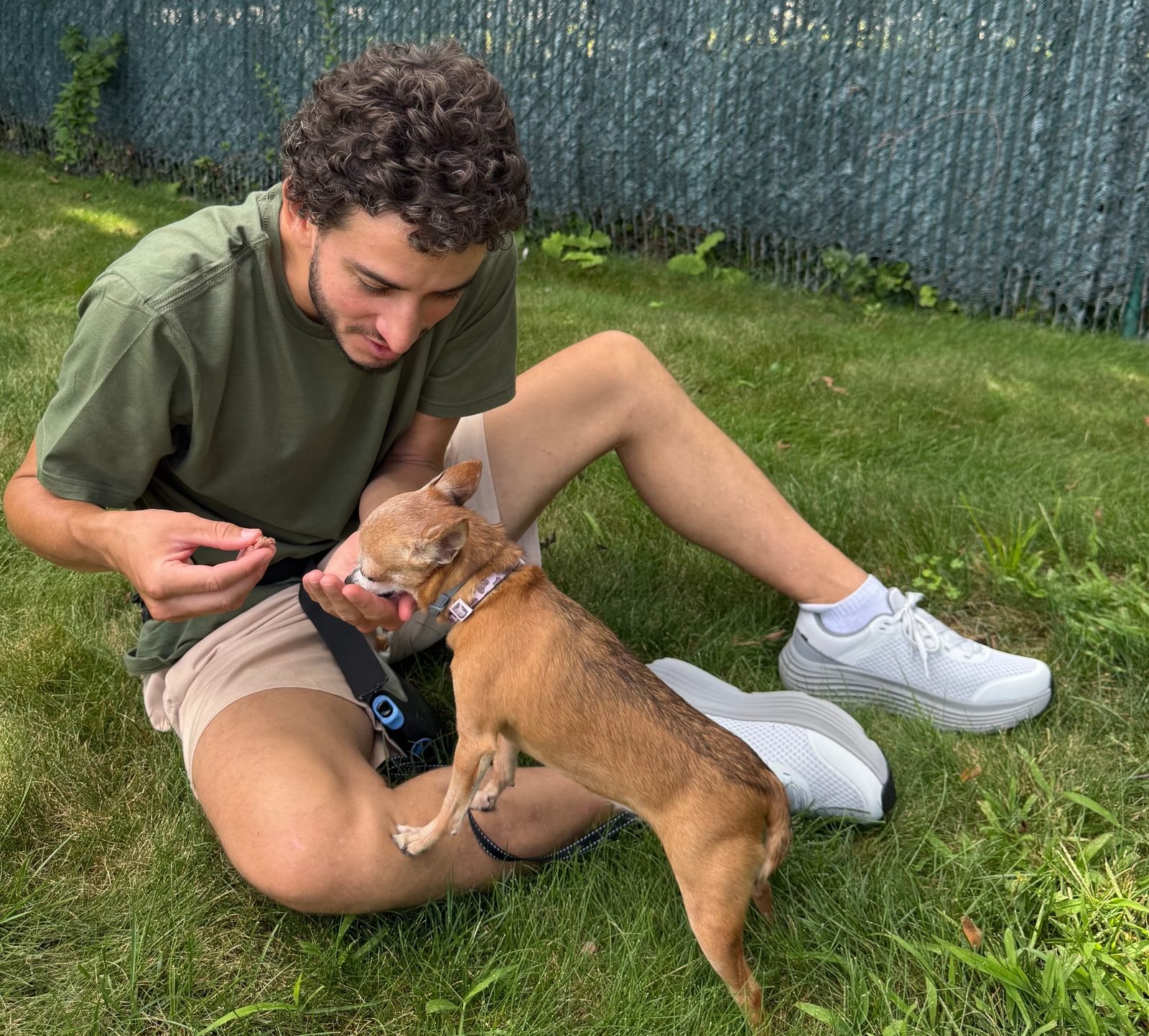 Kyle giving a dog attentive, personal care